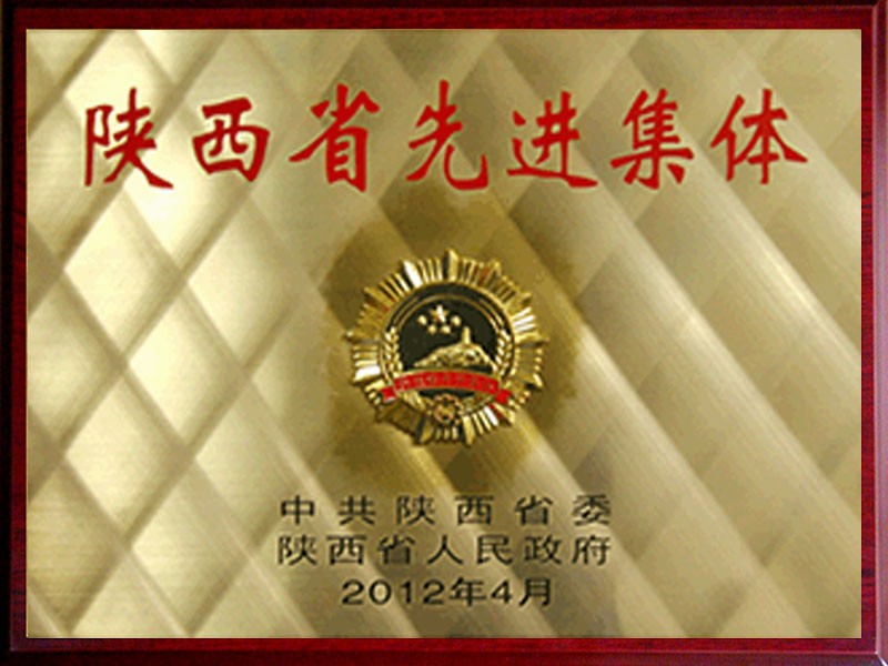 “陜西省先進集體”稱號